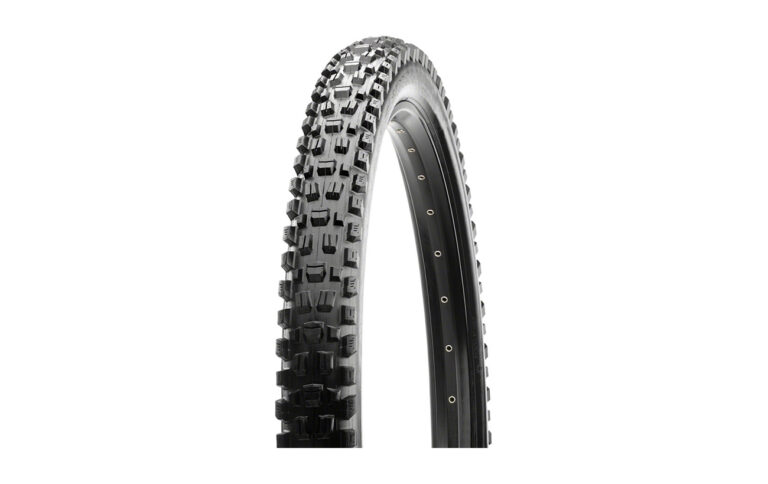 Maxxis Assegai Tire