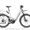Riese & Muller GT Rohloff Pearl White Disclaimer - Propel Electric Bikes